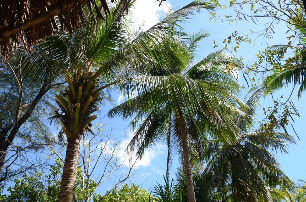 Hotel Reggae Island Private Island Koh Phayam Exteriér fotografie