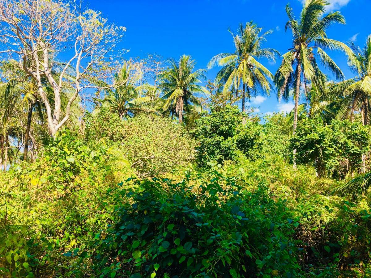 Hotel Reggae Island Private Island Koh Phayam Exteriér fotografie